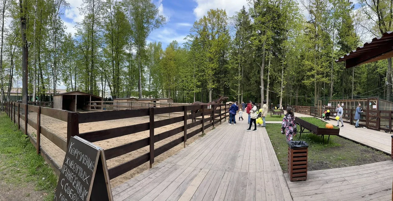 Фото Контактный зоопарк аутлета Vnukovo Outlet Village - развлечение в Москве | Досугатор